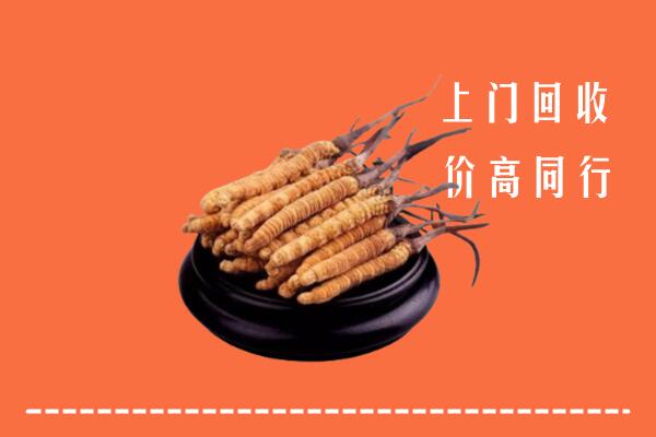 莆田市涵江区回收冬虫夏草