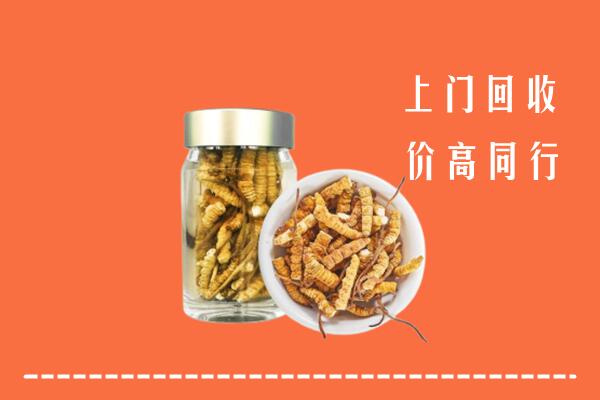 莆田市涵江区回收冬虫夏草